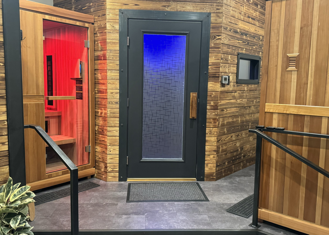 Sauna & Cold Therapy